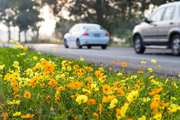 How to Summerize your Car